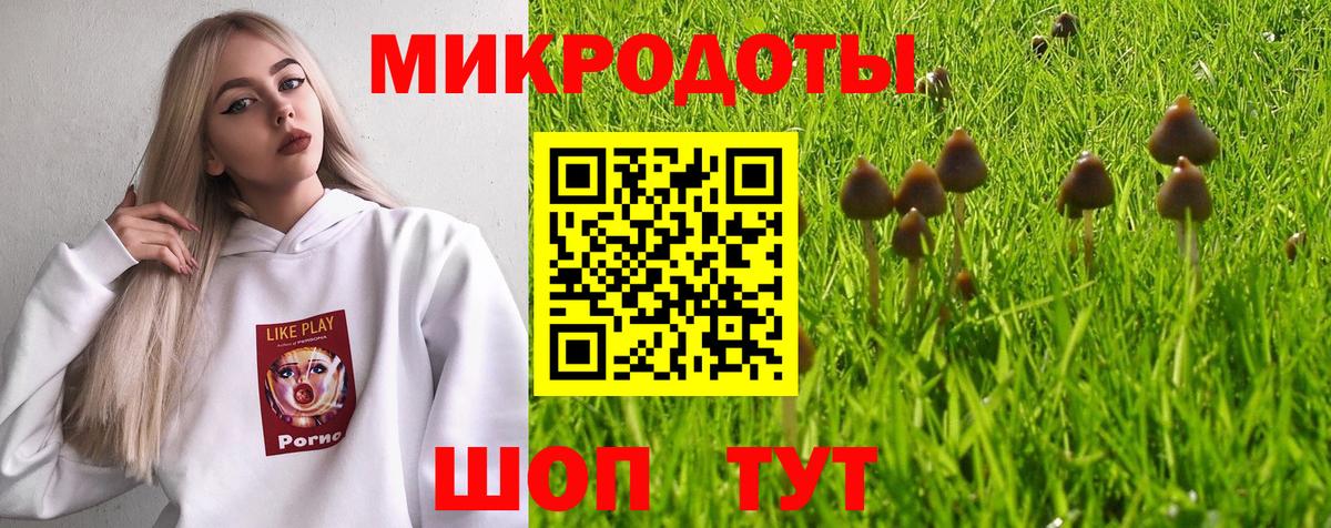 Галлюциногенные грибы Psilocybine cubensis Нефтекумск