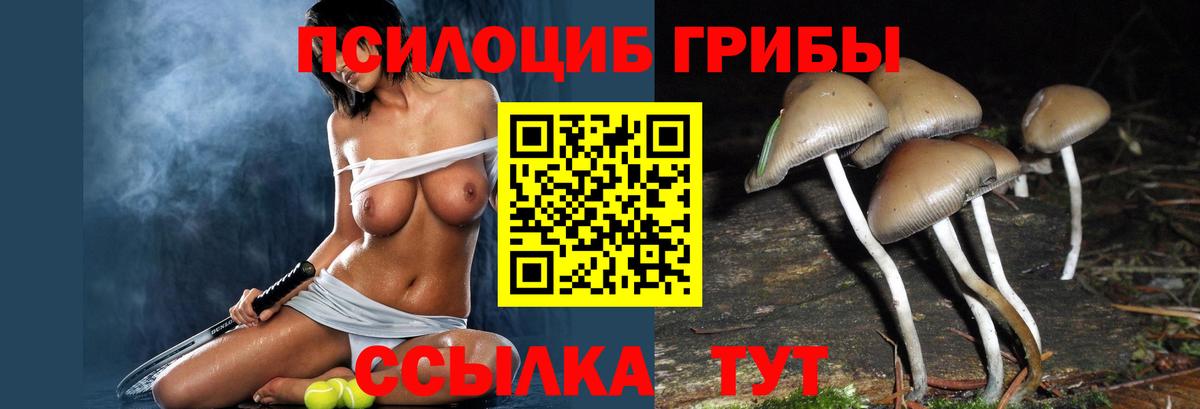ЭКСТАЗИ  ГАШ  Мефедрон   COCAIN  Меф  Вход с VPN  Нефтекумск  Марихуана 
