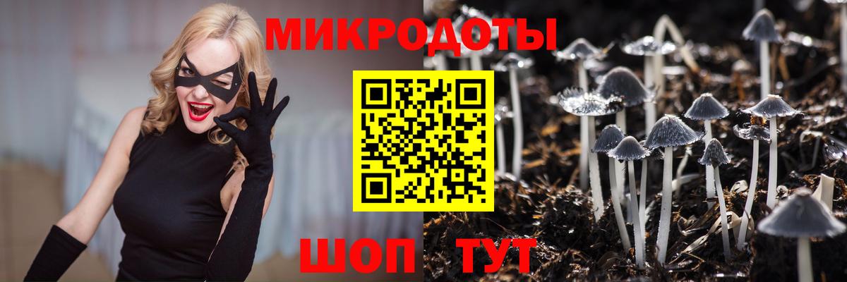 где продают   Вход с VPN  Нефтекумск  Галлюциногенные грибы GOLDEN TEACHER 